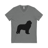 Newfoundland Unisex Jersey Short Sleeve V-Neck Tee