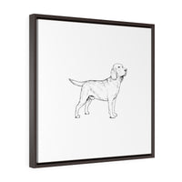 Labrador Retriever Square Framed Premium Gallery Wrap Canvas