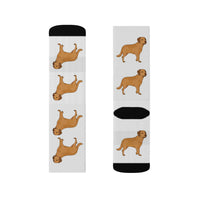 Chesapeake Bay Retriever Sublimation Socks, 3 Sizes, Polyester/Spandex, Cushioned Bottoms, FREE Shipping, Made in USA!!