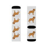 Chesapeake Bay Retriever Sublimation Socks, 3 Sizes, Polyester/Spandex, Cushioned Bottoms, FREE Shipping, Made in USA!!