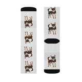 Chihuahua Sublimation Socks, Polyester & Spandex, 3 Sizes, FREE Shipping, Made in the USA!!