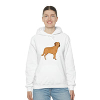 Chesapeake Bay Retriever Unisex Heavy Blend Hooded Sweatshirt, S - 5XL, 12 Colors, Cotton/Polyester, FREE Shipping, Made in Usa!!