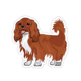 Ruby Cavalier King Charles Spaniel Die-Cut Stickers, 5 Sizes, Water Resistant Vinyl, Indoor/Outdoor, Matte Finish, FREE Shipping, Made in USA!!