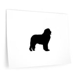 Newfoundland Wall Decals