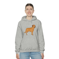 Chesapeake Bay Retriever Unisex Heavy Blend Hooded Sweatshirt, S - 5XL, 12 Colors, Cotton/Polyester, FREE Shipping, Made in Usa!!
