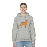 Chesapeake Bay Retriever Unisex Heavy Blend Hooded Sweatshirt, S - 5XL, 12 Colors, Cotton/Polyester, FREE Shipping, Made in Usa!!
