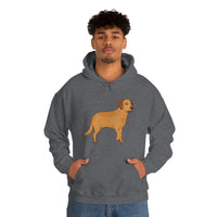 Chesapeake Bay Retriever Unisex Heavy Blend Hooded Sweatshirt, S - 5XL, 12 Colors, Cotton/Polyester, FREE Shipping, Made in Usa!!