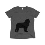 Newfoundland Women's Heather Wicking Tee