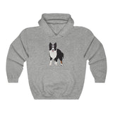 Border Collie Unisex Heavy Blend™ Hooded Sweatshirt, Cotton & Polyester, 7 Colors, S - 3XL, Made in USA!!, FREE Shipping!!