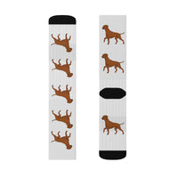 Rhodesian Ridgeback Sublimation Socks, 3 Sizes, Polyester/Spandex, Cushioned Bottoms, FREE Shipping, Made in USA!!