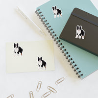 Border Collie Sticker Sheets, 2 Sizes, Water Resistant Vinyl, Indoor/Outdoor, FREE Shipping, Made in the USA!!