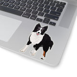 Border Collie Kiss-Cut Stickers, White or Transparent, 4 Sizes, Indoor, Not Waterproof, FREE Shipping, Made in USA!!