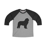 Newfoundland Unisex Tri-Blend 3/4 Raglan Tee