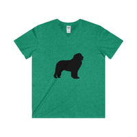 Newfoundland Men's Fitted V-Neck Short Sleeve Tee