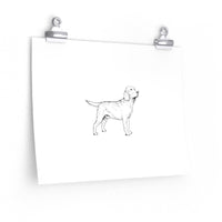 Labrador Retriever Posters