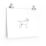 Labrador Retriever Posters