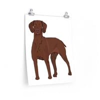 Vizsla Premium Matte vertical posters, 7 Sizes, FREE Shipping, Made in the USA!!