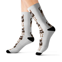 Chihuahua Sublimation Socks, Polyester & Spandex, 3 Sizes, FREE Shipping, Made in the USA!!