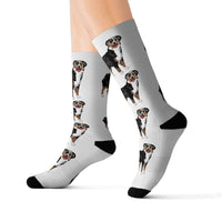 Australian Shepherd Sublimation Socks, 3 Sizes, 60% Polyester, Ribbed Tube, Cushioned Bottoms, FREE Shipping, Made in USA!!