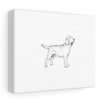 Labrador Retriever Stretched canvas