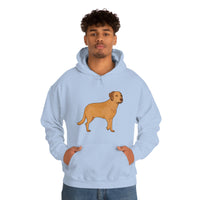 Chesapeake Bay Retriever Unisex Heavy Blend Hooded Sweatshirt, S - 5XL, 12 Colors, Cotton/Polyester, FREE Shipping, Made in Usa!!