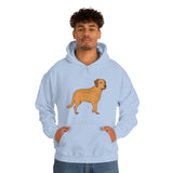 Chesapeake Bay Retriever Unisex Heavy Blend Hooded Sweatshirt, S - 5XL, 12 Colors, Cotton/Polyester, FREE Shipping, Made in Usa!!