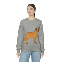 Chesapeake Bay Retriever Unisex Heavy Blend Crewneck Sweatshirt, 6 Colors, S - 3XL, Cotton/Polyester, FREE Shipping, Made in USA!!