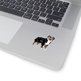 Australian Shepherd Kiss-Cut Stickers, 4 Sizes, Indoor/Outdoor Use, White or Transparent, FREE Shipping, Made in USA!!