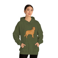 Chesapeake Bay Retriever Unisex Heavy Blend Hooded Sweatshirt, S - 5XL, 12 Colors, Cotton/Polyester, FREE Shipping, Made in Usa!!