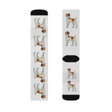 Brittany Dog Sublimation Socks, 3 Sizes, FREE Shipping, Made in USA!!