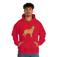 Chesapeake Bay Retriever Unisex Heavy Blend Hooded Sweatshirt, S - 5XL, 12 Colors, Cotton/Polyester, FREE Shipping, Made in Usa!!