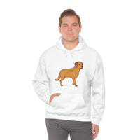 Chesapeake Bay Retriever Unisex Heavy Blend Hooded Sweatshirt, S - 5XL, 12 Colors, Cotton/Polyester, FREE Shipping, Made in Usa!!