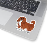 Ruby Cavalier King Charles Spaniel Kiss-Cut Stickers, 4 Sizes, White or Transparent, Indoor Use, Not Waterproof, FREE Shipping, Made in the USA!!