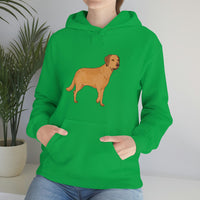 Chesapeake Bay Retriever Unisex Heavy Blend Hooded Sweatshirt, S - 5XL, 12 Colors, Cotton/Polyester, FREE Shipping, Made in Usa!!