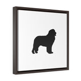 Newfoundland Square Framed Premium Gallery Wrap Canvas