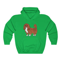 Ruby Cavalier King Charles Spaniel Unisex Heavy Blend™ Hooded Sweatshirt, S - 5XL, 12 Colors, Cotton/Polyester, Made in the USA!!