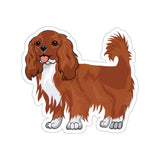 Ruby Cavalier King Charles Spaniel Kiss-Cut Stickers, 4 Sizes, White or Transparent, Indoor Use, Not Waterproof, FREE Shipping, Made in the USA!!