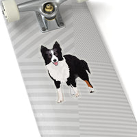 Border Collie Kiss-Cut Stickers, White or Transparent, 4 Sizes, Indoor, Not Waterproof, FREE Shipping, Made in USA!!