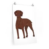 Vizsla Premium Matte vertical posters, 7 Sizes, FREE Shipping, Made in the USA!!