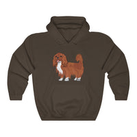 Ruby Cavalier King Charles Spaniel Unisex Heavy Blend™ Hooded Sweatshirt, S - 5XL, 12 Colors, Cotton/Polyester, Made in the USA!!