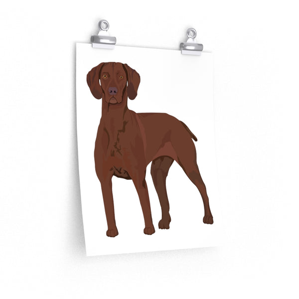 Vizsla Premium Matte vertical posters, 7 Sizes, FREE Shipping, Made in the USA!!