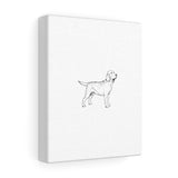 Labrador Retriever Stretched canvas