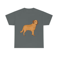 Chesapeake Bay Retriever Unisex Heavy Cotton Tee, S - 5XL, 12 Colors, Medium Fabric, FREE Shipping, Made in USA!!