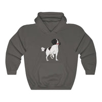 English Springer Spaniel Unisex Heavy Blend™ Hooded Sweatshirt, S - 5XL, 13 Colors, Made in the USA!!