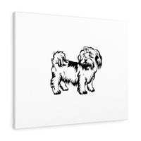 Shih Tzu Canvas Gallery Wraps