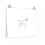 Labrador Retriever Posters