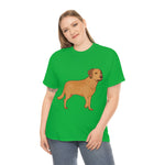 Chesapeake Bay Retriever Unisex Heavy Cotton Tee, S - 5XL, 12 Colors, Medium Fabric, FREE Shipping, Made in USA!!
