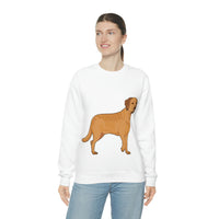 Chesapeake Bay Retriever Unisex Heavy Blend Crewneck Sweatshirt, 6 Colors, S - 3XL, Cotton/Polyester, FREE Shipping, Made in USA!!