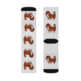 Ruby Cavalier King Charles Spaniel Sublimation Socks, 3 Sizes, Polyester/Spandex, FREE Shipping, Made in USA!!