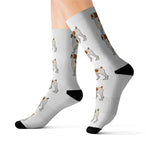 Brittany Dog Sublimation Socks, 3 Sizes, FREE Shipping, Made in USA!!